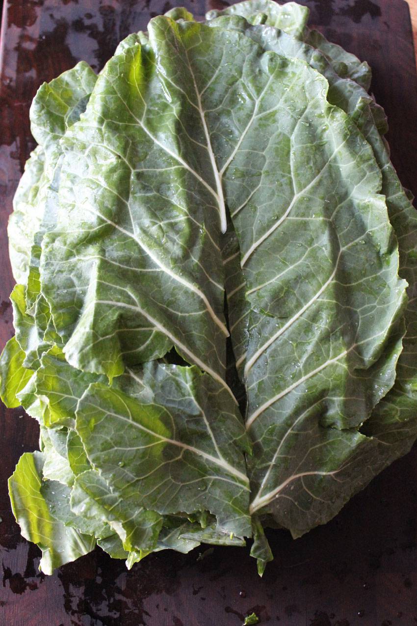 Collard Greens are the New Kale // Runaway Apricot