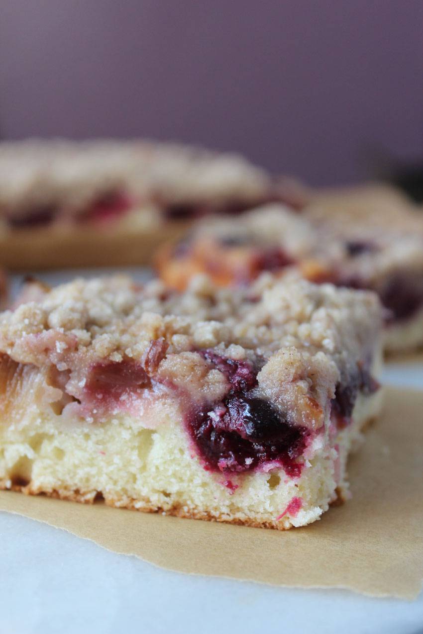 Cherry Rhubarb Crumb Cake | Runaway Apricot