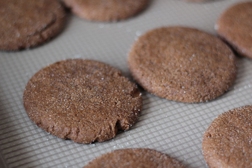 Ginger Spice Cookies | Runaway Apricot