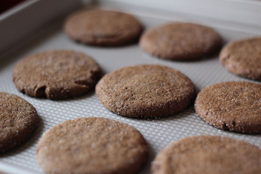 Ginger Spice Cookies | Runaway Apricot