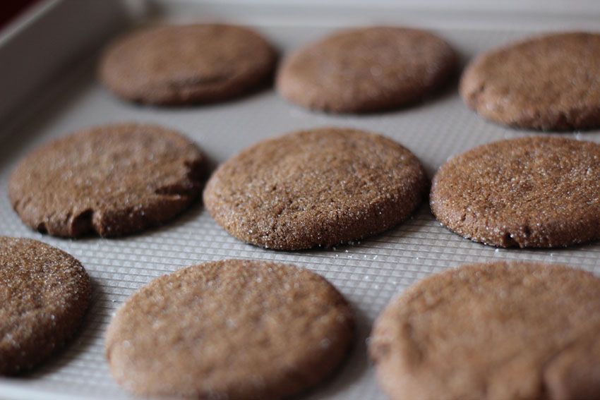 Ginger Spice Cookies | Runaway Apricot