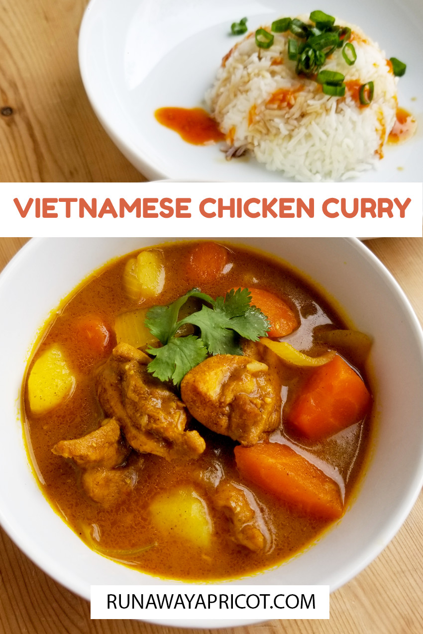 vietnamese_chicken_curry-runaway_apricot (17)